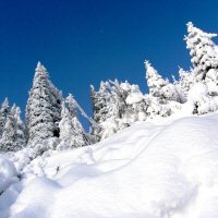 Sneeuw in Königsleiten